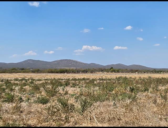 43HA FARM FOR SALE IN MOPANE